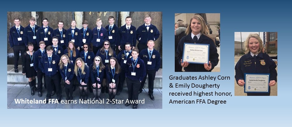 FFA Earns Honors at National Convention