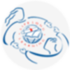 Small_1533308017-small_1507311116-wchs_logo